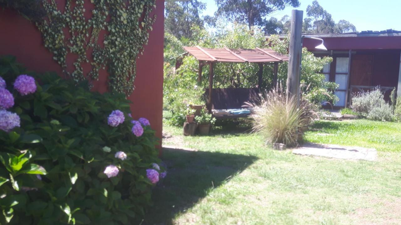 Complejo Girasoles *